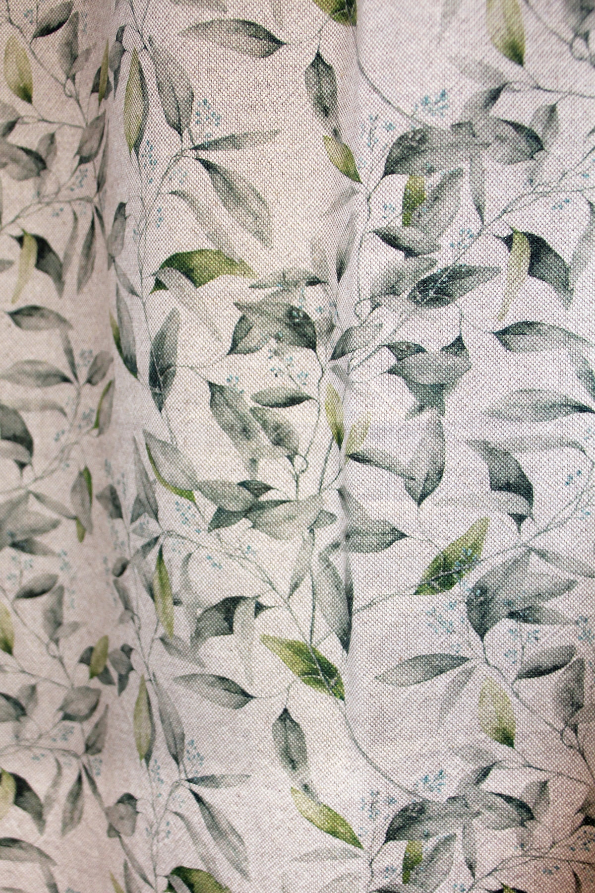 Culla Verde